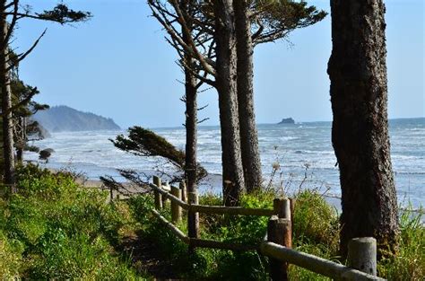 Surfside Resort (Rockaway Beach, OR): What to Know BEFORE You Bring Your Family