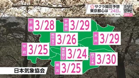 サクラ開花予想 東京都心は今月24日 日本気象協会など｜nhk 千葉県のニュース