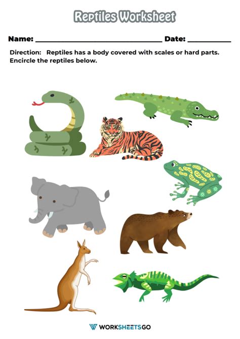 Reptiles Worksheets WorksheetsGO