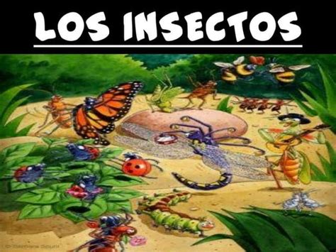 Los Insectos