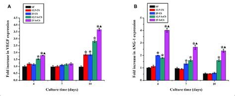 Angiogenic Gene Expression Analysis The Angiogenic Gene Expression