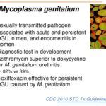 New Std All You Need To Know About Mycoplasma Genitalium Public Health