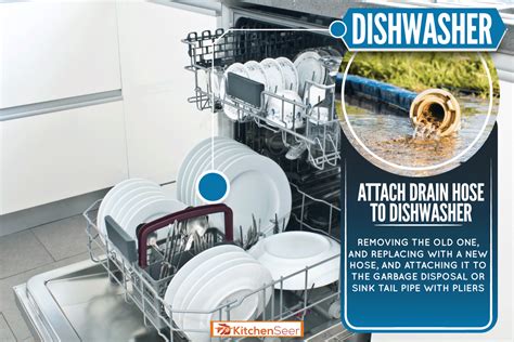 How To Attach Drain Hose To Dishwasher - Kitchen Seer