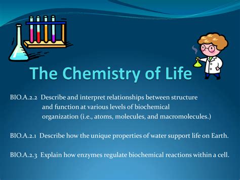 Biochemical Processes