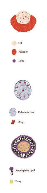 Schematic Representation Of Some Traditional Nanocarriers Structures