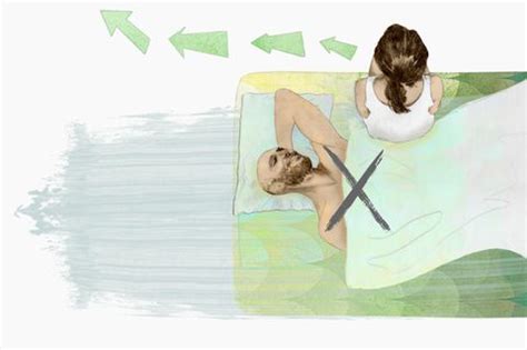 Sex im Tierreich Von schwulen Giraffen und lesbischen Möwen STERN de