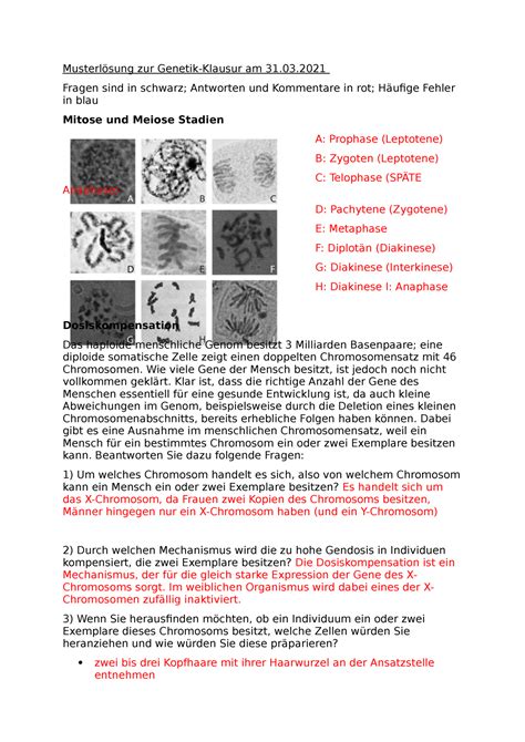 Musterlösung zur Genetik Klausur 2020 21 Musterlösung zur Genetik