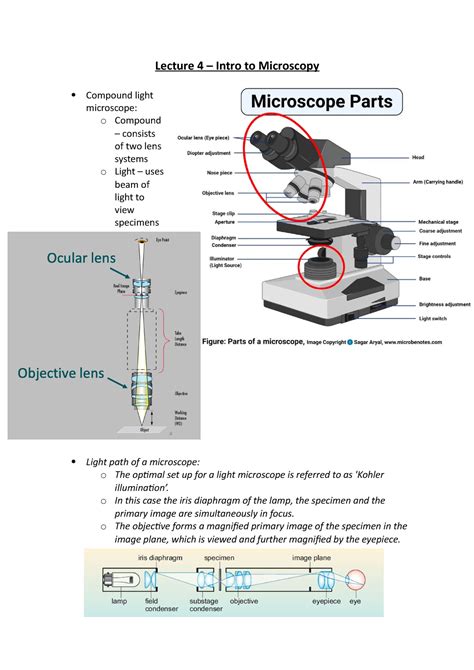 Lecture 4 Intro To Microscopy Lecture 4 Intro To Microscopy