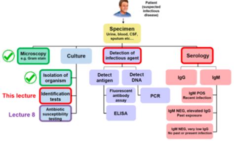 Week 6 Diagnostics In Clinical Microbiology Flashcards Quizlet