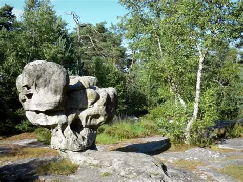 Fontainebleau Forest Tourism Holiday Guide