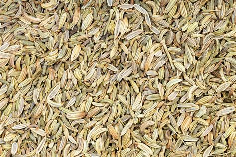 background - many dried fennel seeds 11372863 Stock Photo at Vecteezy