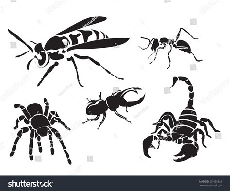 Vector Set Insect Silhouettes Isolated On Stock Vector 201635828