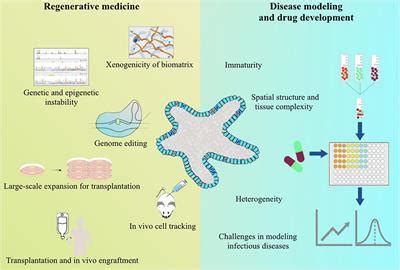 Frontiers Challenges For The Applications Of Human Pluripotent Stem