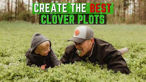 How To Make A Clover Food Plot For Deer Hunting Youtube