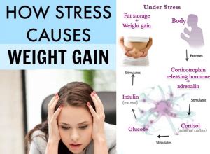 How Stress Causes Weight Gain Sixpack Facts