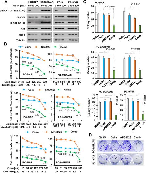 The Combination Of Osimertinib With An Mcl Inhibitor Synergistically