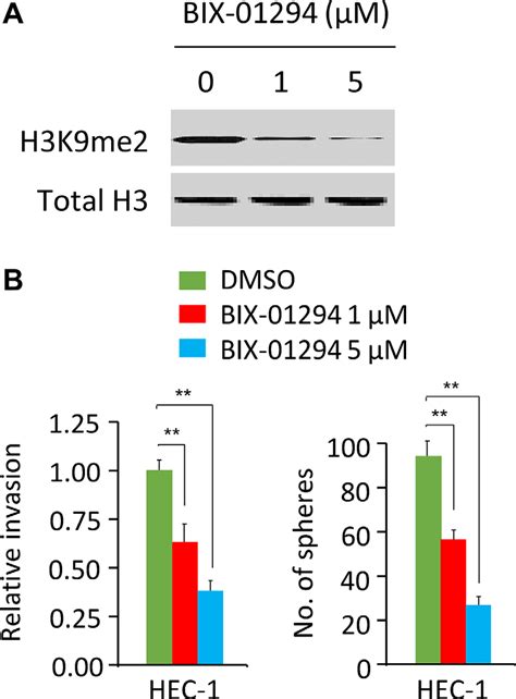 bix  treatment suppresses cell invasion  sphere formation  ec