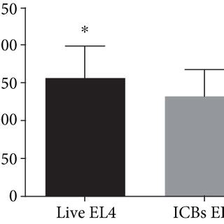 Icbs El Characterization A Size And Morphology Of Live El Cells