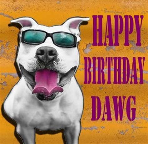 Happy Birthday Card Pit Bull Pitbull Dog Birthday Card