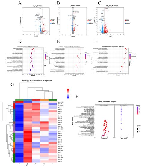 Effects Of Lh And Hkh On Gene Expression In The Colon Tissues Of