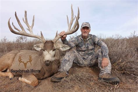 58 Of The Biggest Mule Deer Of 2015 Gohunt