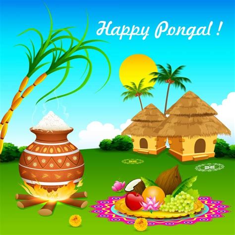 Happy Pongal Wishes Messages Sms Quotes Shayari Status