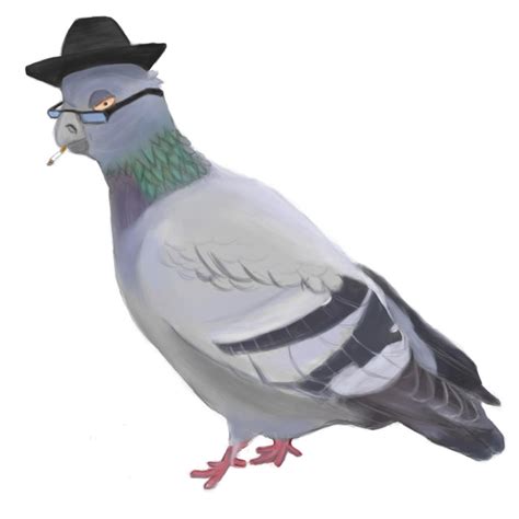 Pigeon Swag By Painedadj On Deviantart