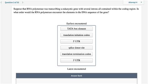 Solved Suppose That Rna Polymerase Was Chegg