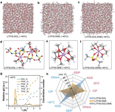 The Md Simulations Of Electrolytes Ac Snapshots Of Md Simulations At Download Scientific