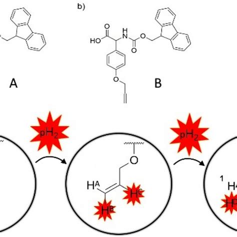 Structures Of The Incorporated Unnatural Amino Acids Used As Phip