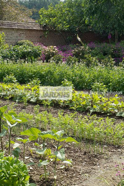 La Phototh Que Les Plus Beaux Jardins Potager Fleuri Les Jardins