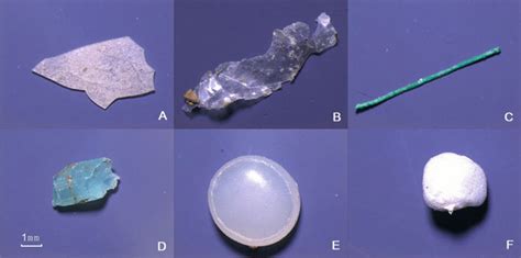 Shapes Of Typical Microplastics Collected From Inland Waters Qinghai