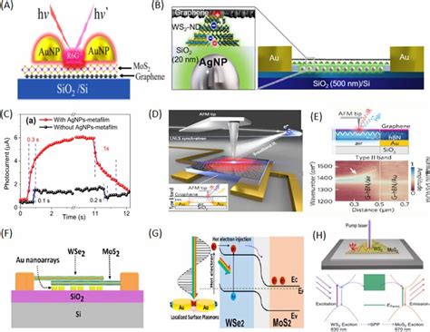 A Schematic Illustration Of SERS Of R6G Using AuNPs MoS2 Graphene VdW