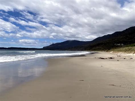 Eaglehawk Neck, Tasmania: Everything You Need To Know