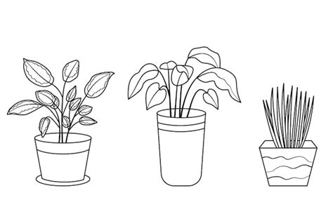 Premium Vector Collection Of House Plants In Pots And Planters In