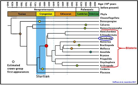 Evolution des organismes et histoire de la terre 4ème SVT