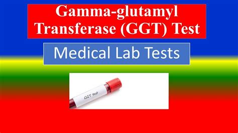 Gamma Glutamyl Transferase GGT Test What Is Uses Need Risk