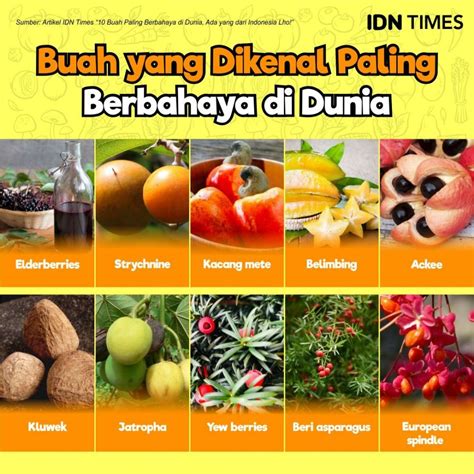 10 Buah Paling Berbahaya Di Dunia Ada Yang Dari Indonesia Lho