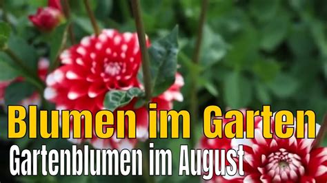 Blumen Im Garten Pflanzen Youtube