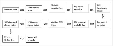 Evolution Of Pap Stain Biomedical Research And Therapy