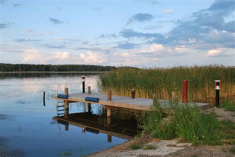 Free Images Landscape Sea Tree Water Nature Marsh Dock Shore