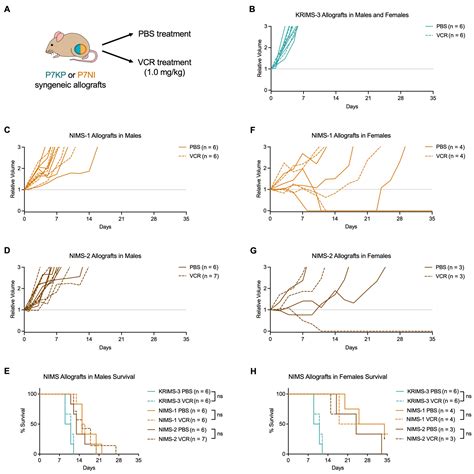 Cimb Free Full Text Loss Of Nf1 And Ink4aarf Are Associated With