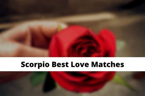 Scorpio Best Love Matches: Love Compatibility With Each Zodiac Signs ...