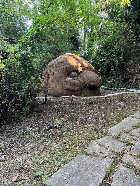 A Large Rock Sitting In The Middle Of A Forest