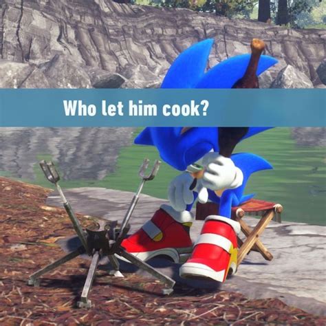 Pin By Toast On Sonic Memes Sonic Funny Sonic And Shadow Blue Hedgehog