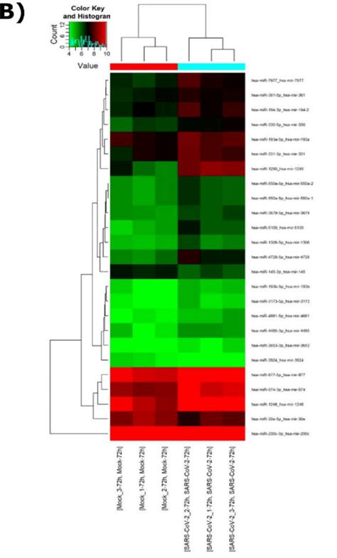 Heat Map And Hierarchical Clustering Of Differentially Expressed Download Scientific Diagram