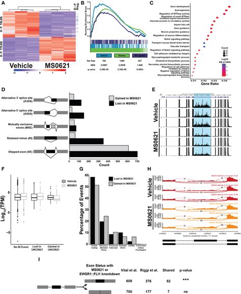 Ms0621 Affects Ewsr1fli1 Regulated Genes And Influences Rna Splicing