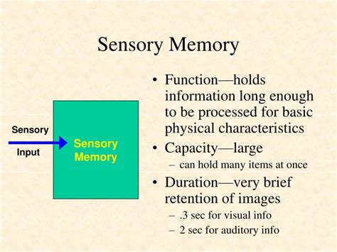 What Is Sensory Memory