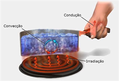 Transferencia De Calor Por Convecção - Exemplos De Transferencia De Calor Por Conveccao