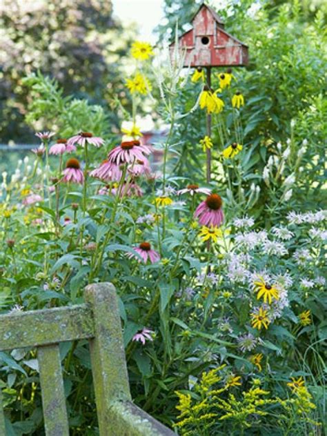 Coneflowers Birdhouse Cottage Garden Dream Garden Beautiful Gardens